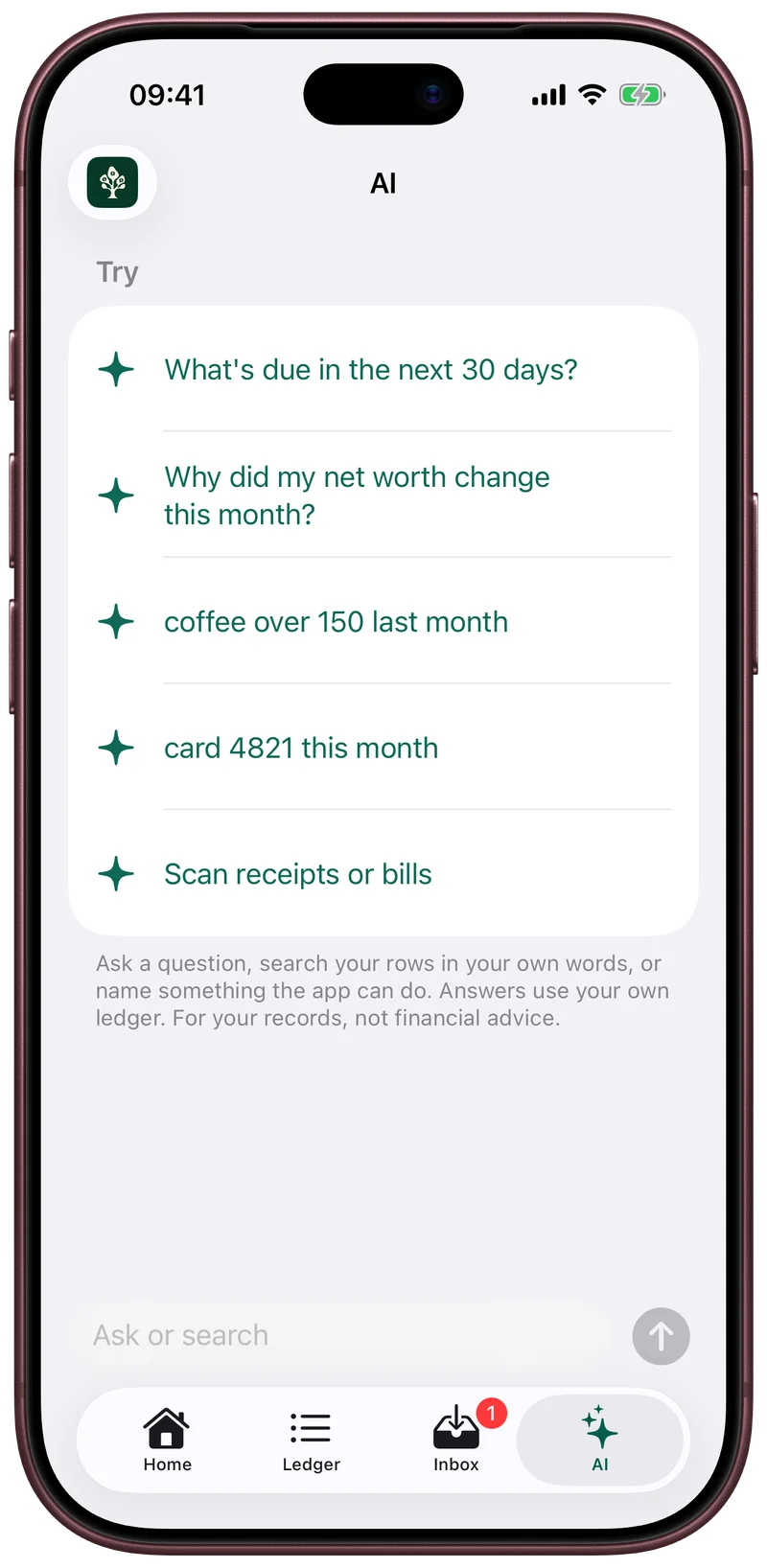 The AI tab answers questions from your own ledger